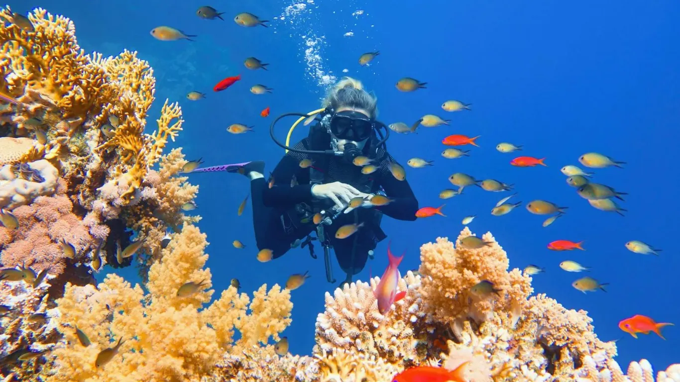 Explore the Underwater World