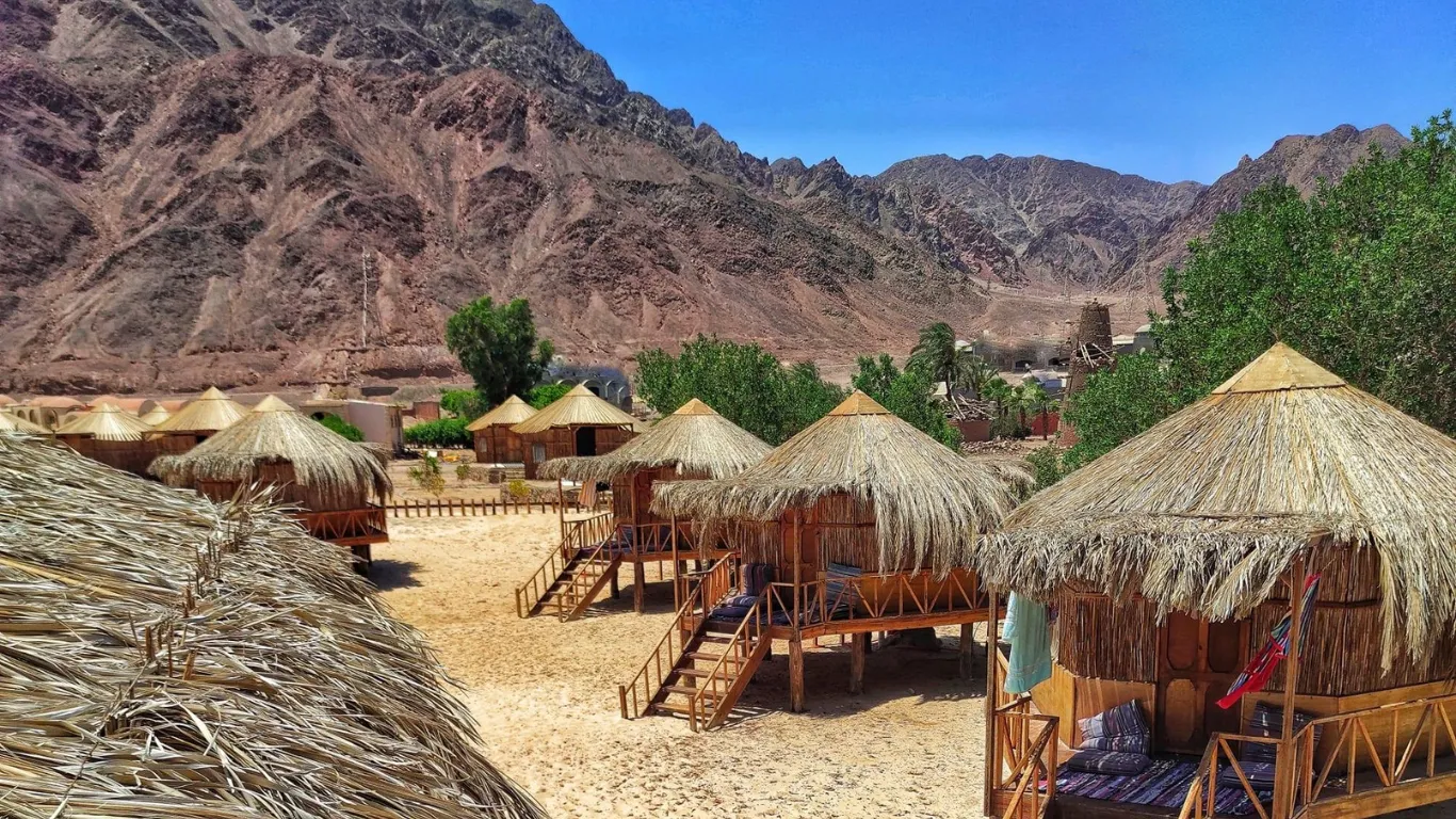 Sinai Mountain Escapes