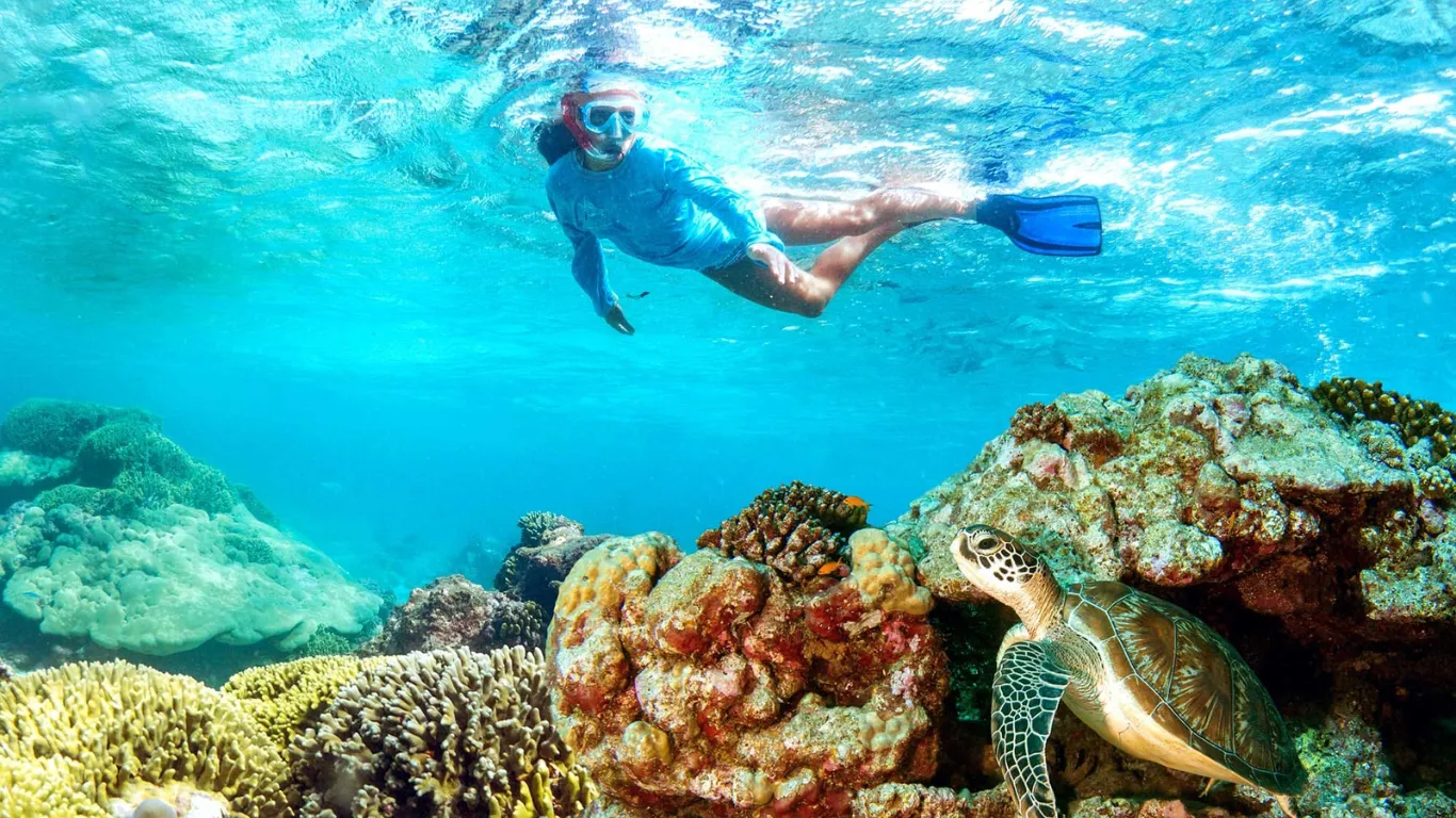Snorkeling Hurghada