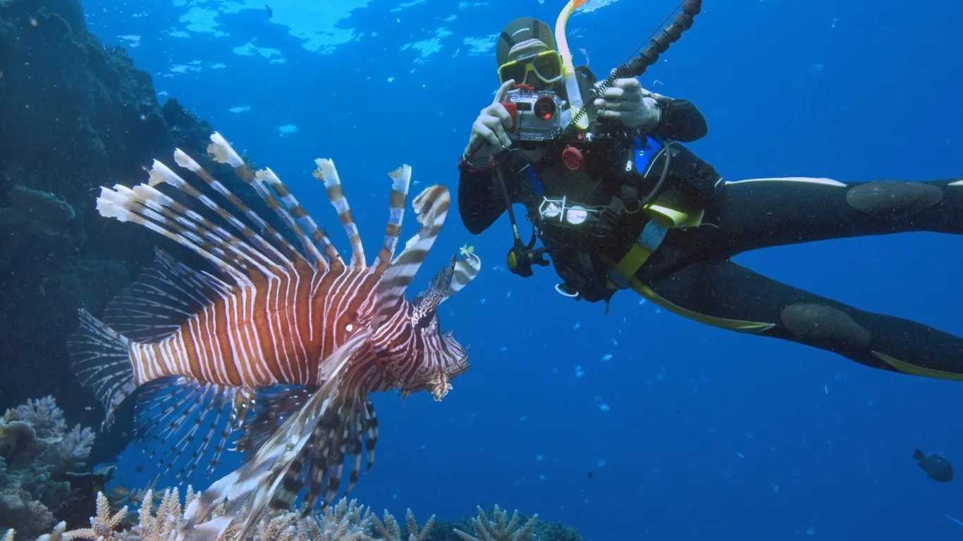 Snorkeling Safaga