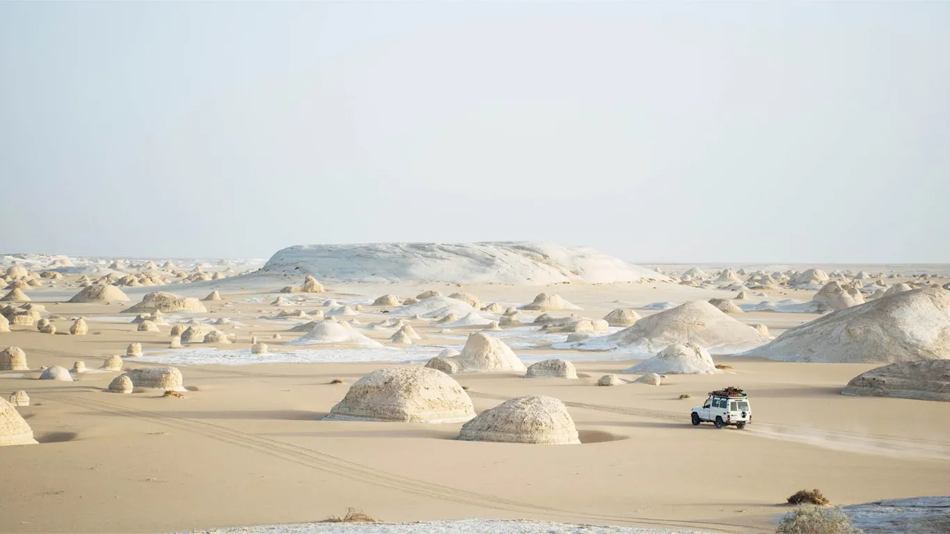 Desert Oases