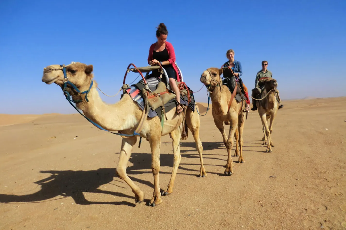 Bedouin Camp