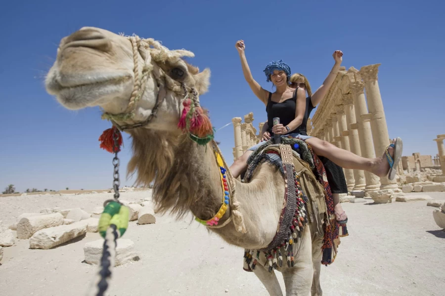 camel ride in Philae Temple