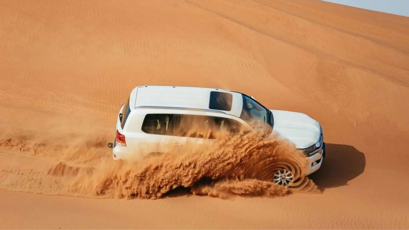 Desert Safari Trips in the Western Desert