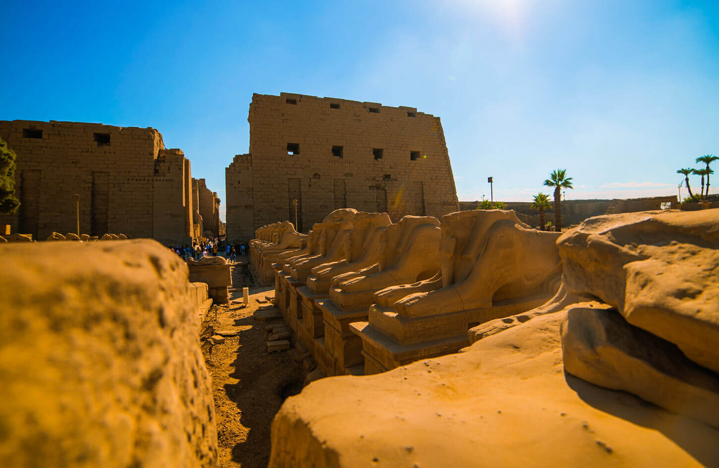 winter break in egypt
