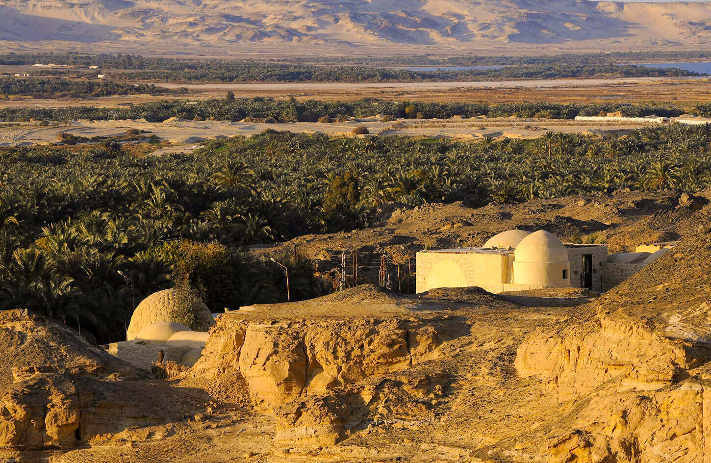 best time to visit the oasis